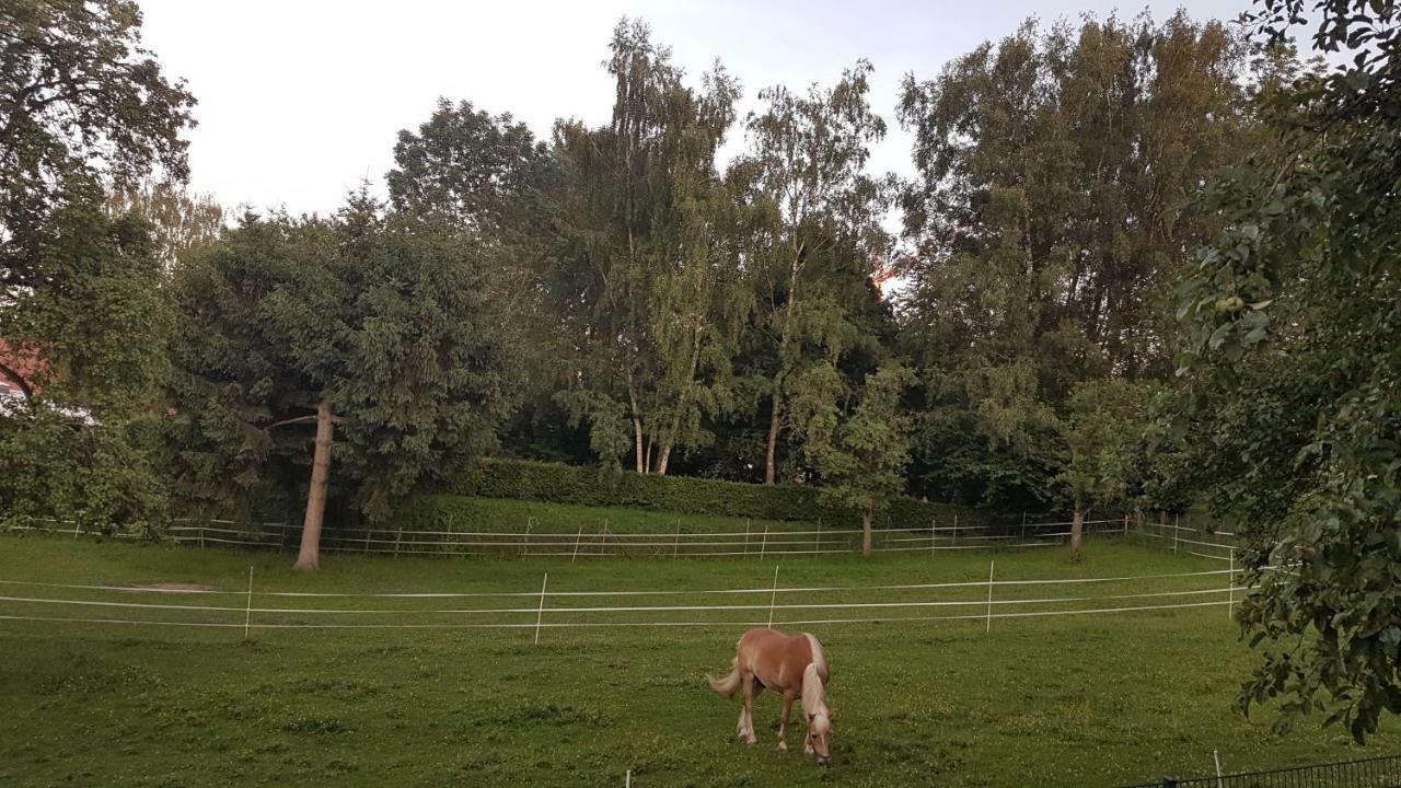 Ferienwohnung Sonnenschein Burgau Bagian luar foto